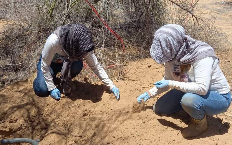 Buscadoras Por La Paz Hallan Cuerpos En Hermosillo Y Nogales